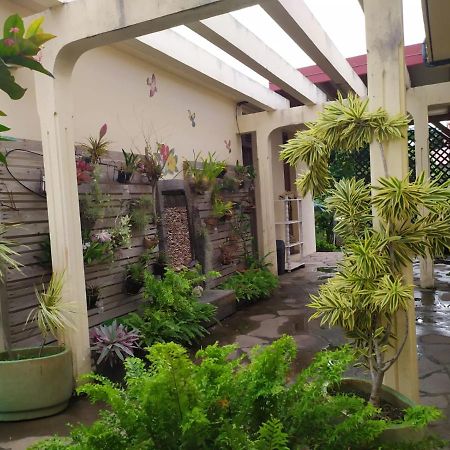 Chambres D'Hote Sud Basse-Terre Gourbeyre Kültér fotó